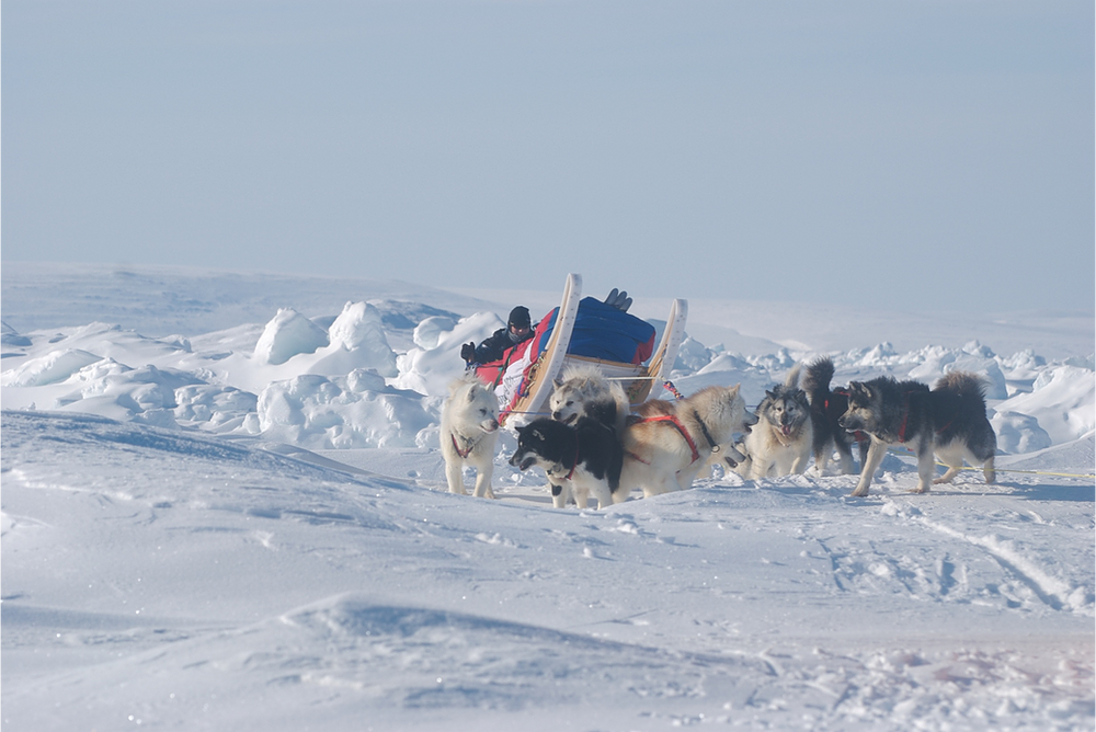dogsledding, Canadian arctic, expedition